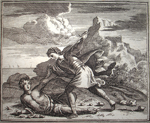  Cercyonis letum vidit 